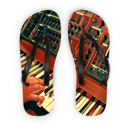 Hands On Modular Fly Flip Flops